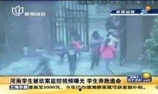 河南开封小学生爆料视频,揭秘校园生活点滴