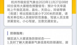 临安新闻爆料平台电话查询,倾听民声，助力和谐临安