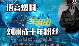 最新年度八卦爆料,八卦爆料揭秘明星幕后故事